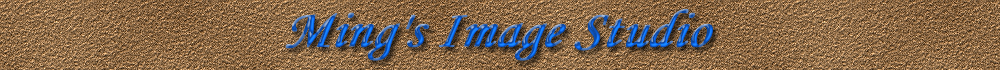 Ming's Image Studio Logo